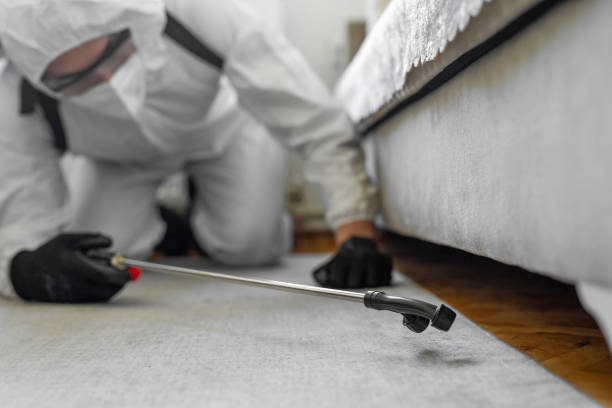 Professional Termite Control technician working in Whitehall, OH
