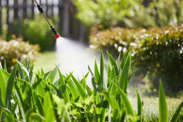 24/7 Emergency Termite Control experts in Whitehall, OH