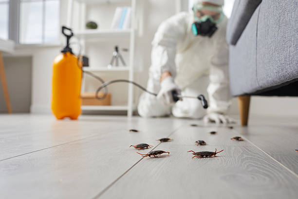 Trusted Fumigation Services service in Whitehall, OH - Nex Pest Control