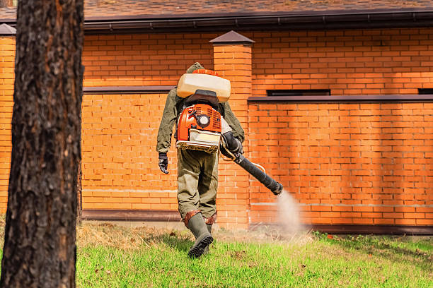 Trusted Rodent Control service in Whitehall, OH - Nex Pest Control